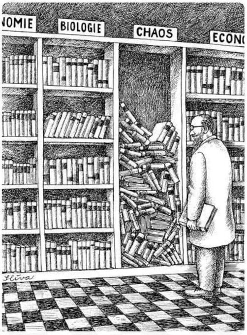 Bir karmaşıklık dinamiği - Belirme