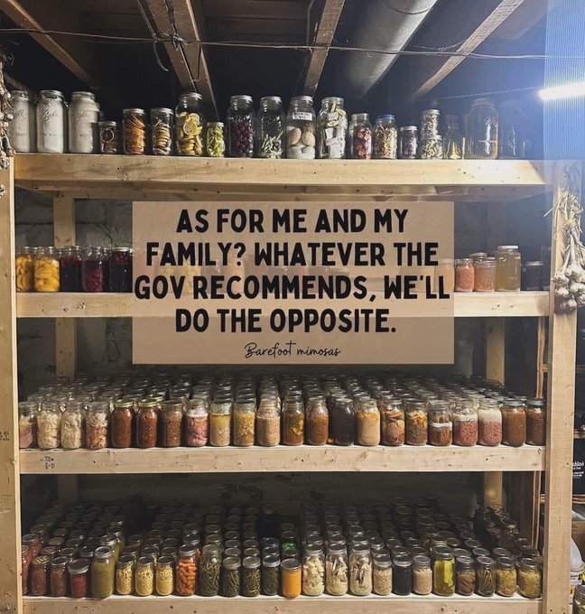 Organizasyonel Kültür : Pusula mı, Pranga mı?